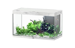 Aquatlantis Sublime 245 Esche Weiß Aquarium-Set