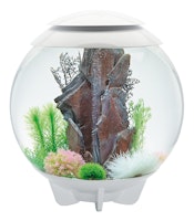 biOrb HALO 60 LED weiß (72044)