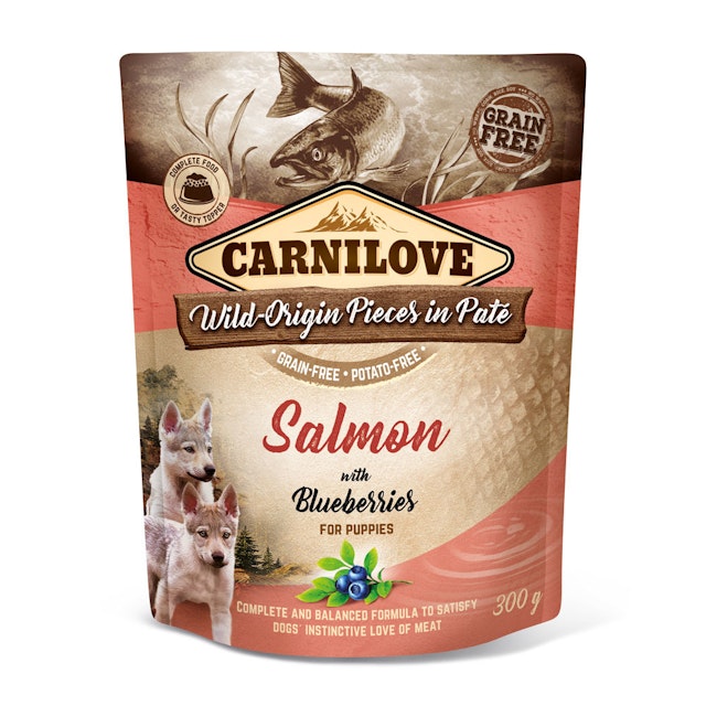 CARNILOVE Pieces in Paté 300 Gramm HundenassfutterVorschaubild