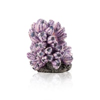 biOrb Rankentraube Ornament (48359)
