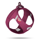 Vorschaubild curli Clasp AirMesh Geschirr ruby Hundegeschirr