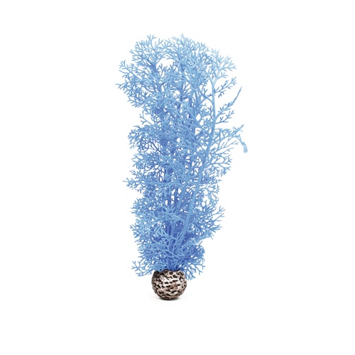 biOrb Hornkoralle mittelgroß blau (46095)