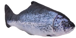 Aumüller Zappelfisch 35cm Katzenspielkissen
