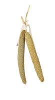 JR FARM Birds Perlhirse 40g Vogelsnack