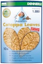 Vorschaubild DENNERLE Catappa Leaves große Blätter 18x10cm (10 Stück)