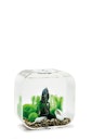 Vorschaubild biOrb Decor Set 30L Stone Garden (48445)
