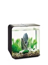 Vorschaubild biOrb Decor Set 30L Stone Garden (48445)